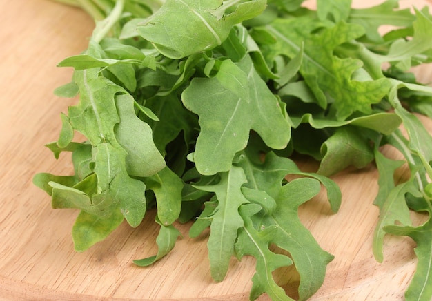 Salade de roquette fraîche ou feuilles de laitue roquette sur planche de bois isolé sur blanc