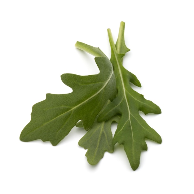 Salade de roquette sucrée ou feuilles de roquette isolé sur fond blanc