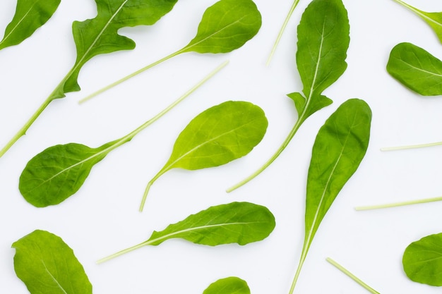 Salade de roquette verte fraîche sur fond blanc