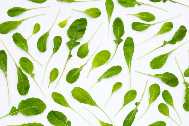 Salade de roquette verte fraîche sur fond blanc