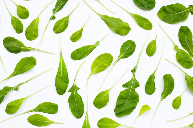 Salade de roquette verte fraîche sur fond blanc