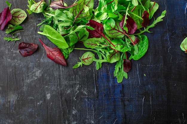 Salade saine, mélange de feuilles de salade