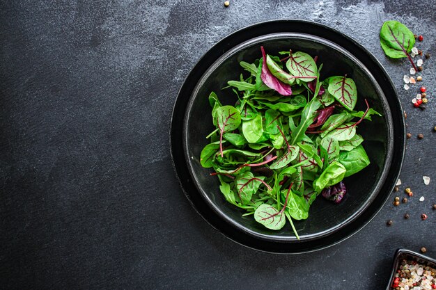 Salade saine, mélange de feuilles