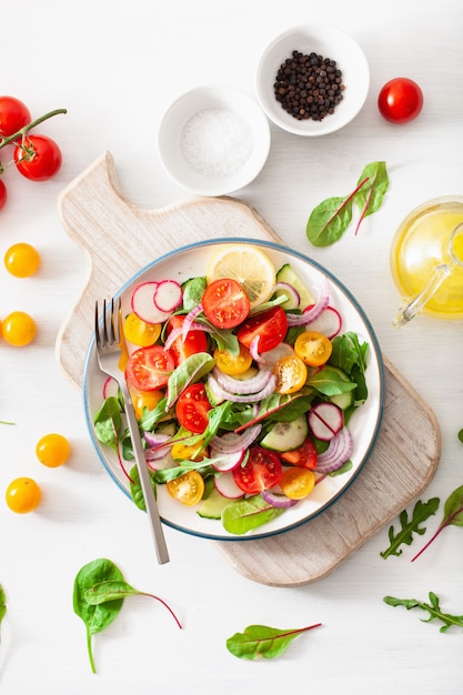 Salade de tomates vegan colorée saine avec concombre, radis, oignon