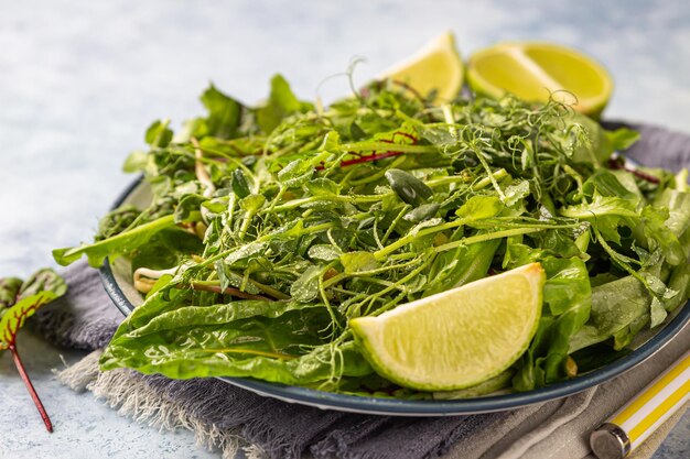 Salade végétalienne à base de feuilles de salade et de microgreen mélangées avec du citron vert sur une assiette