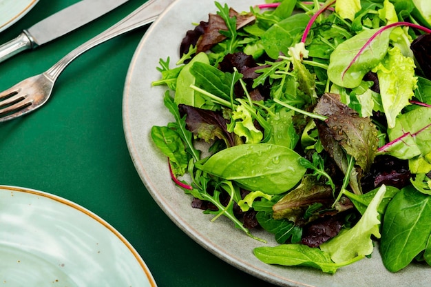 Salade végétarienne aux légumes verts