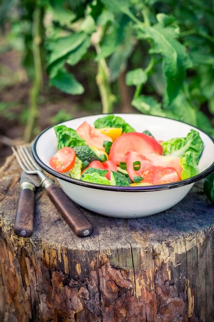 Salade végétarienne colorée en journée ensoleillée