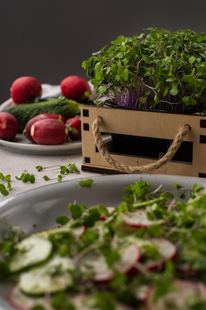 Salade végétarienne fraîche de radis et de concombre avec des microgreens