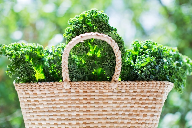 Salade verte de chou frisé dans un sac écologique en paille à l'extérieur