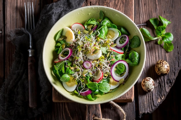 Salade verte fraîche aux œufs de caille, radis et oignon