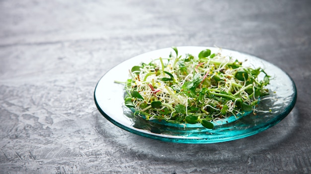 Salade verte et fraîche d&#39;été.