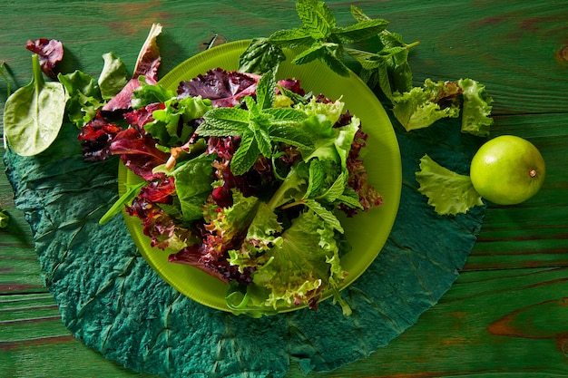 Salade verte fraîche avec laitue aux épinards