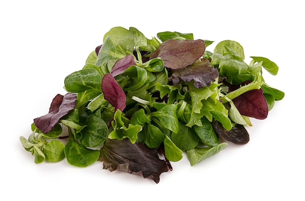 Salade verte fraîche sur une surface blanche