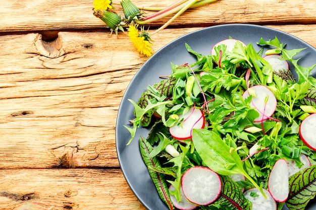 Salade verte fraîche