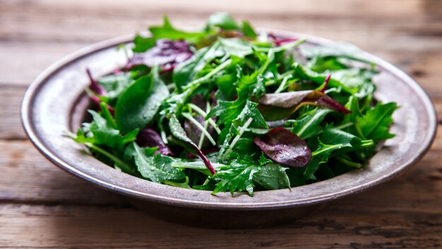 Salade verte fraîche