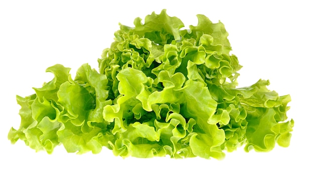 Salade Verte Isolée Sur Un Espace Blanc