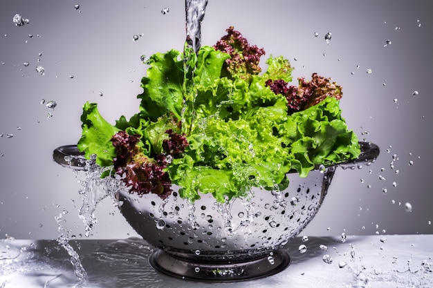 Salade verte et rouge dans une passoire