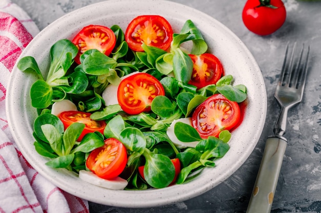 Saladier vert sain avec tomate et mozzarella sur fond rustique