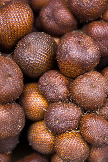 Salak fruit du serpent