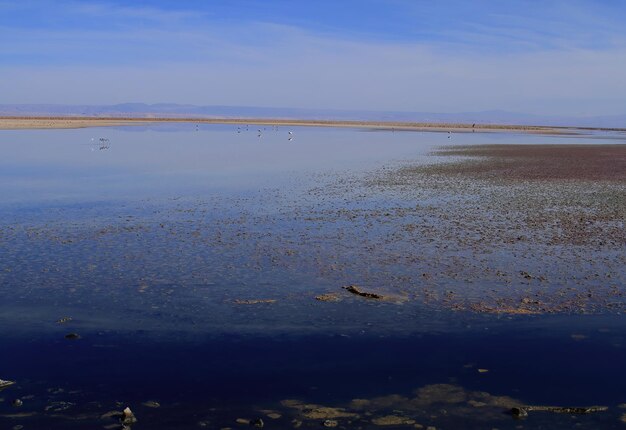 Salar d'Atacma Chili