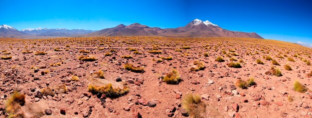 Salar d'Atacma Chili