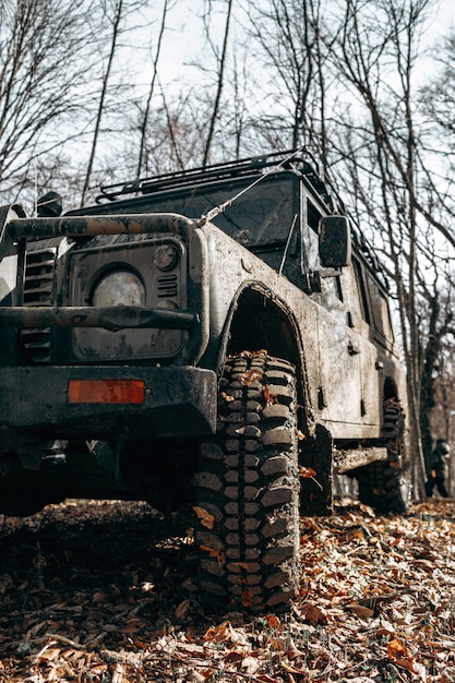 Sale voiture hors route en voyage en forêt