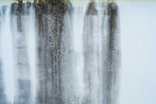 Saleté noire sur mur de béton peint en blanc