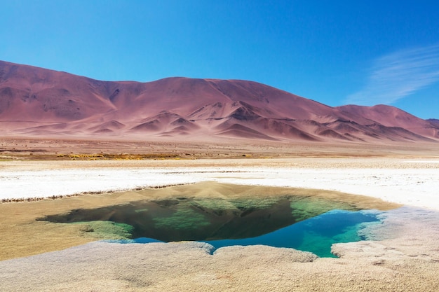 Salinas en Argentine