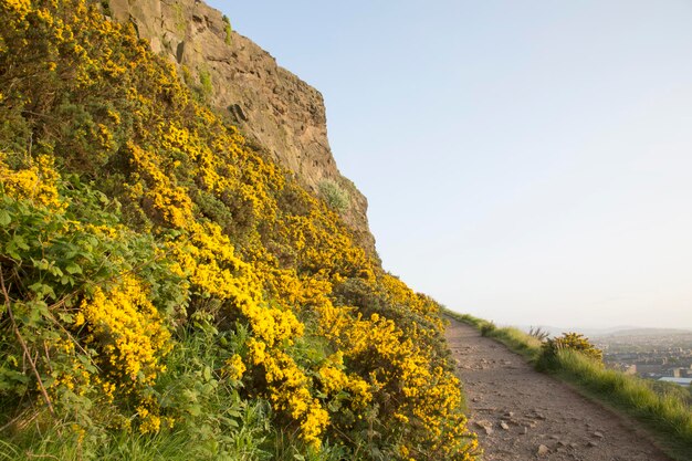 Salisbury Crags Park à Édimbourg, Écosse, Royaume-Uni