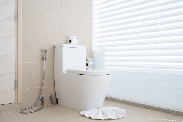 Salle de bain de luxe avec cuvette de toilette maison, maison, bâtiment