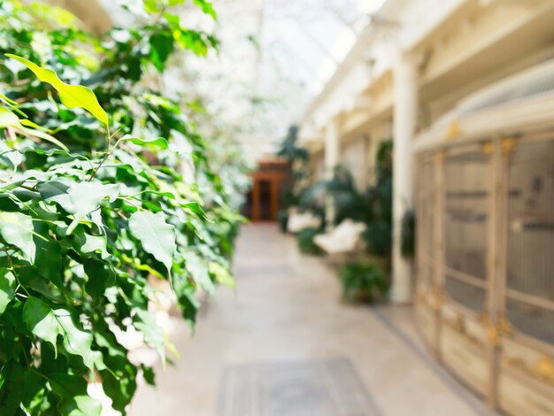 Salle de la galerie des plantes