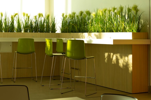 salle à manger intérieur respectueux de l'environnementherbe verte nature
