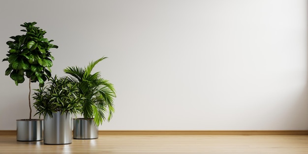 Salle vide avec plante à l'intérieur du salon