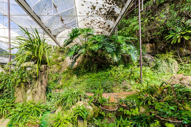 Photo salon des plantes et des fleurs de serre