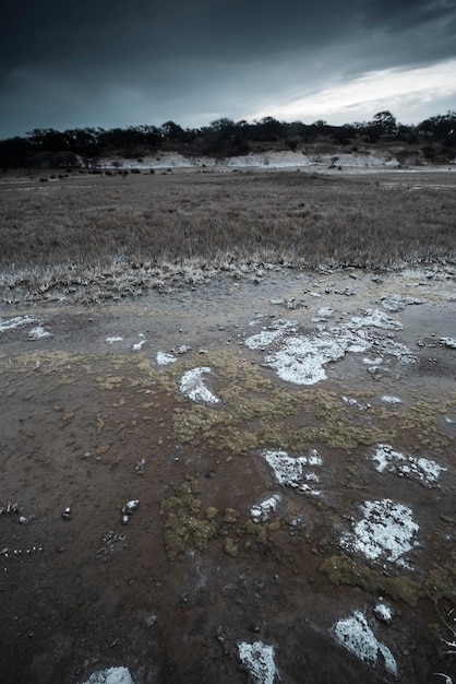 Salpêtre sur le sol d'un lagon dans un environnement semi désertique de la province de La Pampa Patagonie Argentine