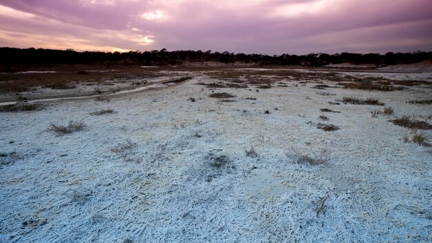 Salpêtre sur le sol d'un lagon dans un environnement semi désertique de la province de La Pampa Patagonie Argentine