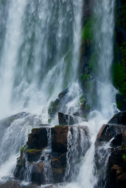 Salto Bossetti Aux Chutes D'iguazu