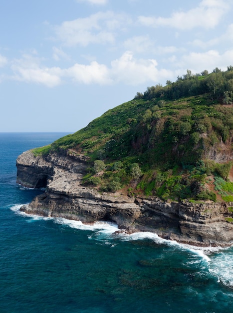 Sanctuaire d'oiseaux à Kilauea