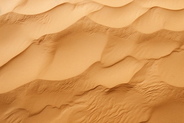 Sand Texture