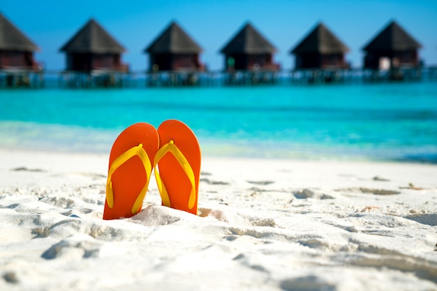 Sandales sur la magnifique plage - vacances d'été