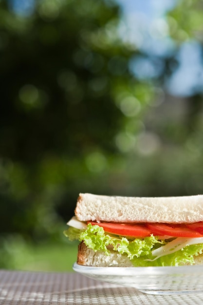 Sandwich au fromage et aux légumes collations saines et concept de cuisine maison