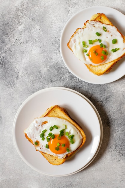 Sandwich Au Jambon, Fromage Et œuf. Un Sandwich Croque-madame Français Traditionnel Servi Sur Une Assiette Blanche. Repas De Café Français Populaire. Fond Gris. Vue De Dessus. Espace Pour Le Texte