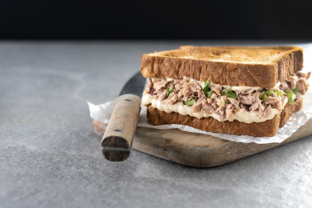 Sandwich au thon avec mayo et légumes sur une surface grise