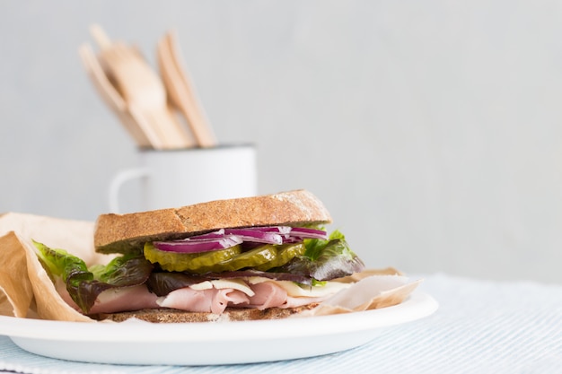 Sandwich de charcuterie de dinde sur une plaque avec vue de face de légumes, concept de vaisselle durable