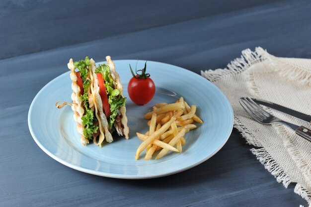 Photo sandwich club au poulet et au bacon, frites