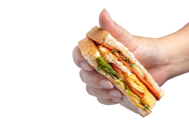 sandwich à la main isolé sur fond blanc copie espace