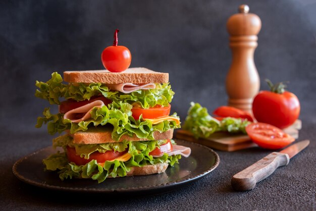 Sandwich maison au fromage jambon tomates et légumes