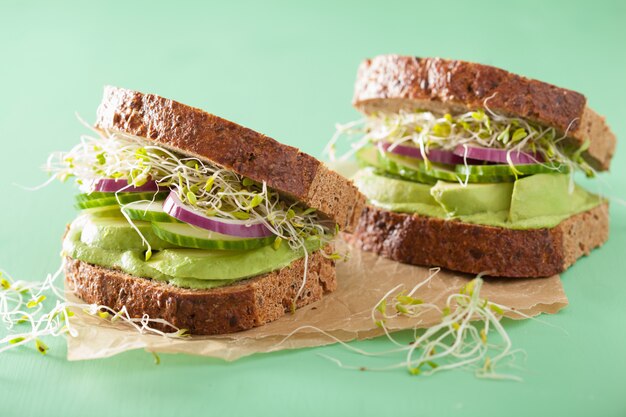 Sandwich sain à l'avocat avec oignons germés de luzerne et concombre