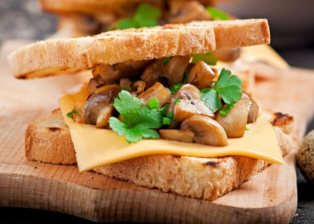 Sandwich toast aux champignons, fromage et persil, mise au point sélective