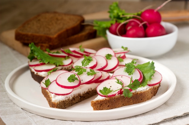 Sandwiches appétissants de pain de seigle avec du fromage en grains, des radis et de la laitue. Style rustique.